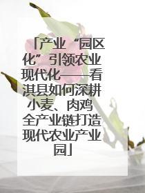 产业“园区化”引领农业现代化——看淇县如何深耕小麦、肉鸡 全产业链打造现代农业产业园