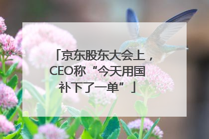 京东股东大会上，CEO称“今天用国补下了一单”