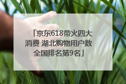 京东618带火四大消费 湖北购物用户数全国排名第9名