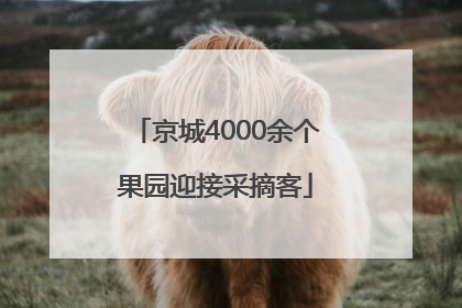 京城4000余个果园迎接采摘客
