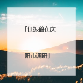 任振鹤在庆阳市调研