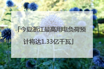 今夏浙江最高用电负荷预计将达1.33亿千瓦