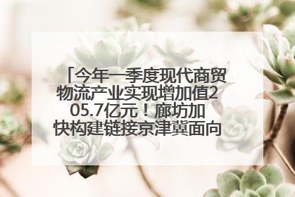 今年一季度现代商贸物流产业实现增加值205.7亿元！廊坊加快构建链接京津冀面向全世界的物流通道
