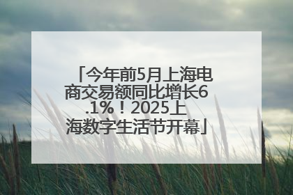 今年前5月上海电商交易额同比增长6.1%！2025上海数字生活节开幕