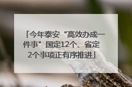 今年泰安“高效办成一件事”国定12个、省定2个事项正有序推进
