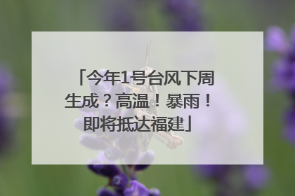 今年1号台风下周生成？高温！暴雨！即将抵达福建