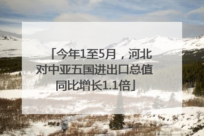 今年1至5月，河北对中亚五国进出口总值同比增长1.1倍