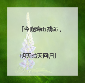 今晚降雨减弱，明天晴天回归