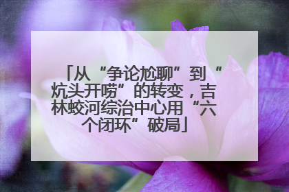 从“争论尬聊”到“炕头开唠”的转变，吉林蛟河综治中心用“六个闭环”破局