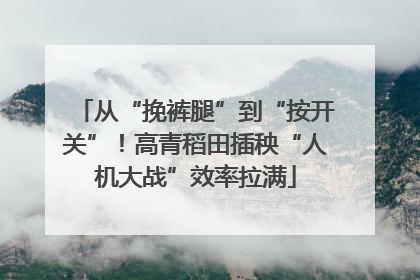 从“挽裤腿”到“按开关”！高青稻田插秧“人机大战”效率拉满