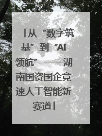 从“数字筑基”到“AI领航”——湖南国资国企竞速人工智能新赛道