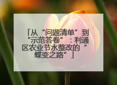 从“问题清单”到“示范答卷”：利通区农业节水整改的“蝶变之路”