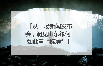 从一场新闻发布会，洞见山东缘何如此重“标准”