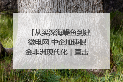从买深海鳀鱼到建微电网 中企加速掘金非洲现代化｜直击中非经贸博览会