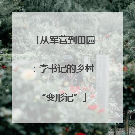 从军营到田园：李书记的乡村 “变形记”