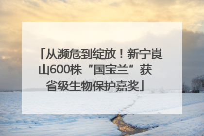 从濒危到绽放！新宁崀山600株“国宝兰”获省级生物保护嘉奖