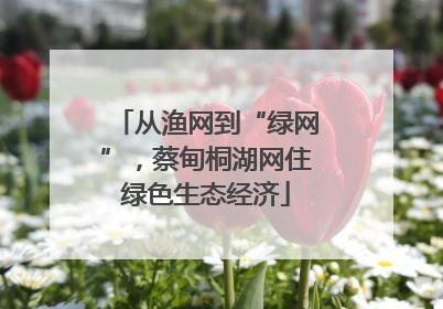 从渔网到“绿网”，蔡甸桐湖网住绿色生态经济