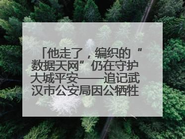 他走了，编织的“数据天网”仍在守护大城平安——追记武汉市公安局因公牺牲民警万松
