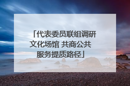 代表委员联组调研文化场馆 共商公共服务提质路径