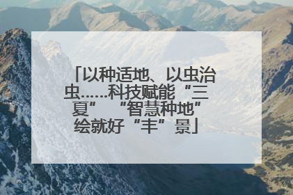 以种适地、以虫治虫……科技赋能“三夏” “智慧种地”绘就好“丰”景