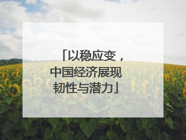 以稳应变，中国经济展现韧性与潜力