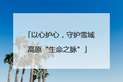 以心护心，守护雪域高原“生命之脉”