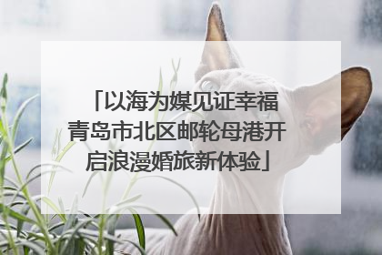 以海为媒见证幸福 青岛市北区邮轮母港开启浪漫婚旅新体验