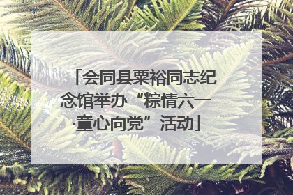 会同县粟裕同志纪念馆举办“粽情六一·童心向党”活动
