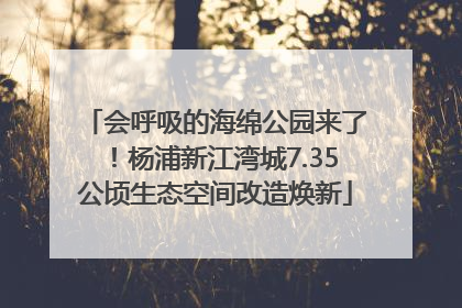 会呼吸的海绵公园来了！杨浦新江湾城7.35公顷生态空间改造焕新