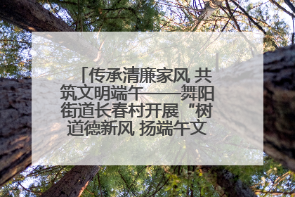 传承清廉家风 共筑文明端午——舞阳街道长春村开展“树道德新风 扬端午文化”主题活动