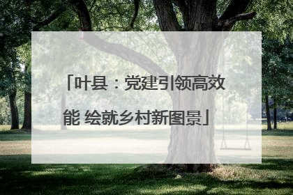 叶县：党建引领高效能 绘就乡村新图景