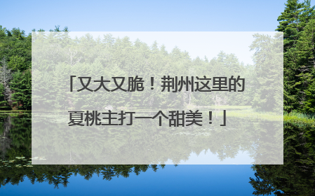 又大又脆！荆州这里的夏桃主打一个甜美！