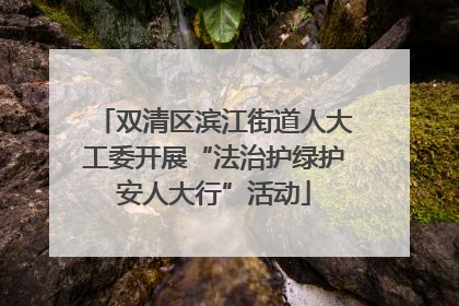 双清区滨江街道人大工委开展“法治护绿护安人大行”活动