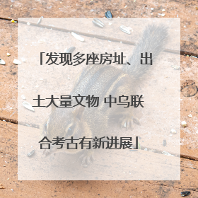 发现多座房址、出土大量文物 中乌联合考古有新进展
