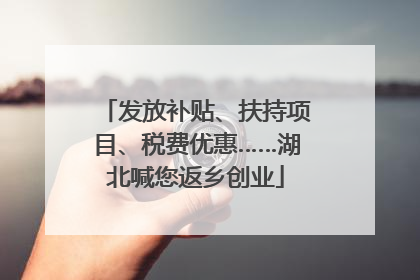 发放补贴、扶持项目、税费优惠……湖北喊您返乡创业