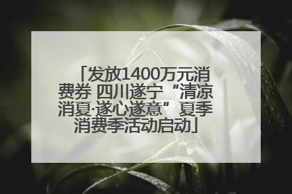 发放1400万元消费券 四川遂宁“清凉消夏·遂心遂意”夏季消费季活动启动