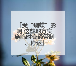 受“蝴蝶”影响 这些地方实施临时交通管制、停运