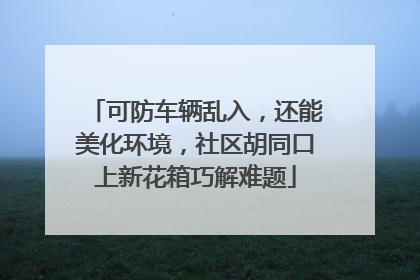 可防车辆乱入，还能美化环境，社区胡同口上新花箱巧解难题