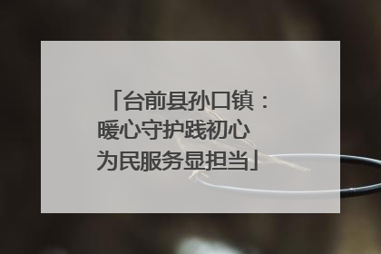 台前县孙口镇：暖心守护践初心 为民服务显担当