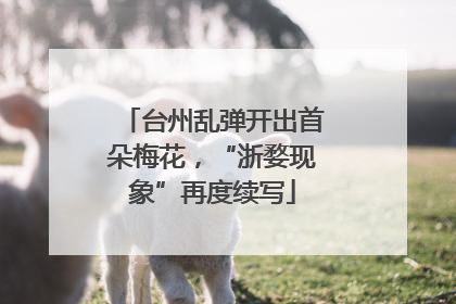 台州乱弹开出首朵梅花，“浙婺现象”再度续写