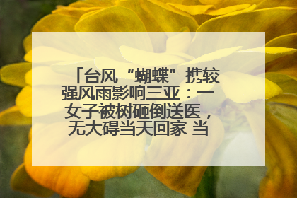 台风“蝴蝶”携较强风雨影响三亚：一女子被树砸倒送医，无大碍当天回家 当地已紧急清障