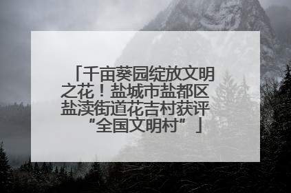 千亩葵园绽放文明之花！盐城市盐都区盐渎街道花吉村获评“全国文明村”