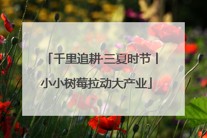 千里追耕·三夏时节丨小小树莓拉动大产业