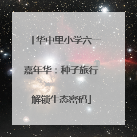 华中里小学六一嘉年华：种子旅行解锁生态密码