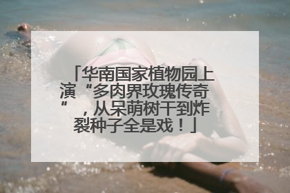 华南国家植物园上演“多肉界玫瑰传奇”，从呆萌树干到炸裂种子全是戏！