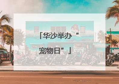 华沙举办“宠物日”