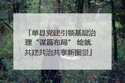 单县党建引领基层治理“谋篇布局” 绘就共建共治共享新图景