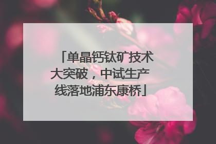 单晶钙钛矿技术大突破，中试生产线落地浦东康桥