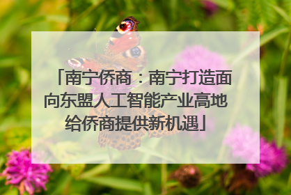 南宁侨商：南宁打造面向东盟人工智能产业高地给侨商提供新机遇