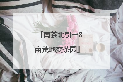 南茶北引→8亩荒地变茶园